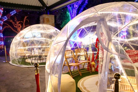 Photos: Make the Holidays Furry and Bright at Dallas Zoo Lights