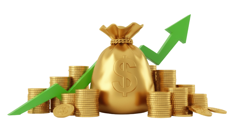 money bags and gold coins