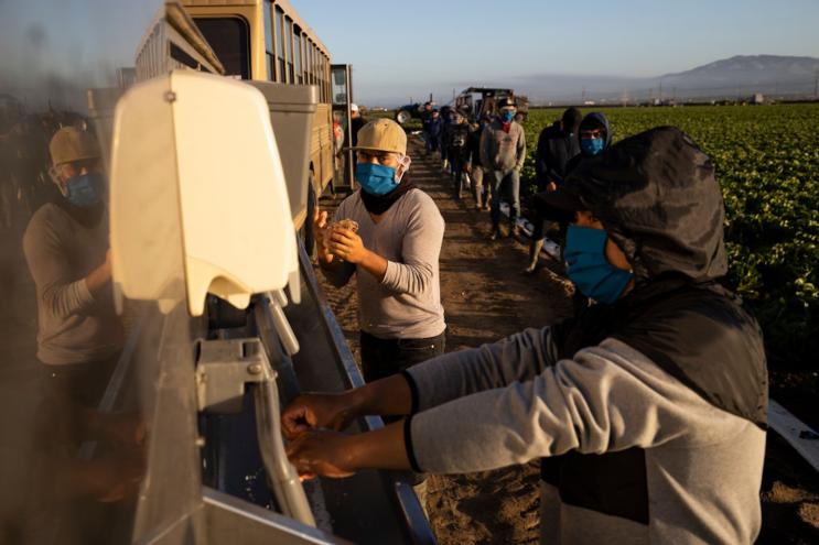 GREENFIELD, CA - APRIL 28: Farm laborers with Fresh Harvest wash their hands before work on April 28, 2020 in Greenfield, California. (Photo by Brent Stirton/Getty Images)