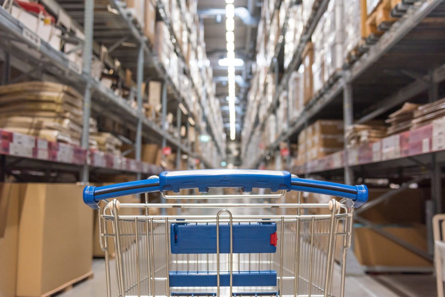 Shopping cart in a wholesale club aisle
