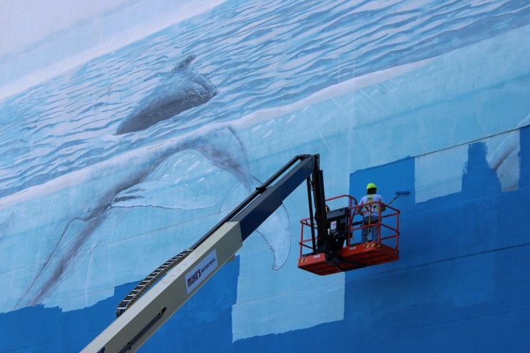whale wall