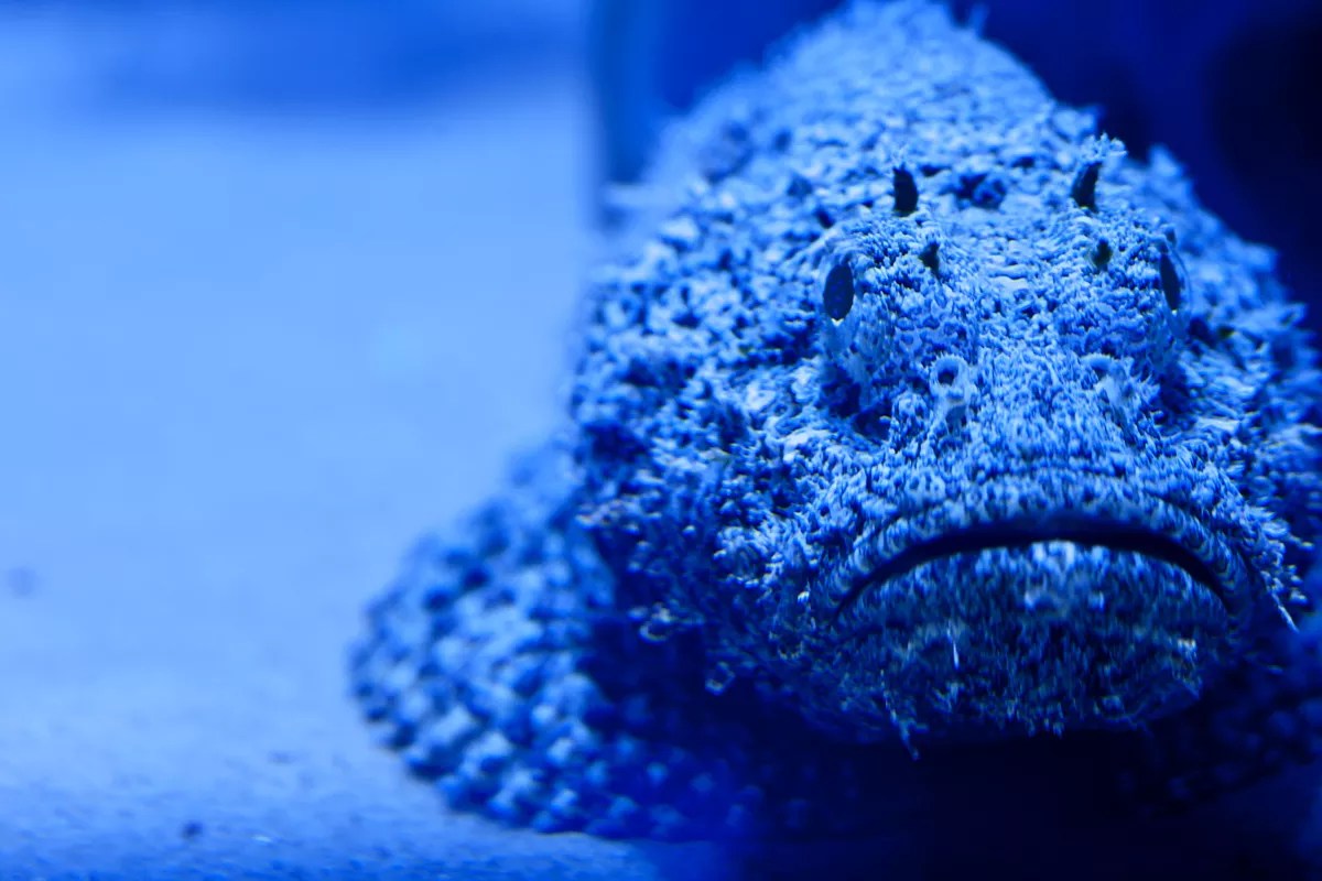 Children’s Aquarium at Fair Park to Close