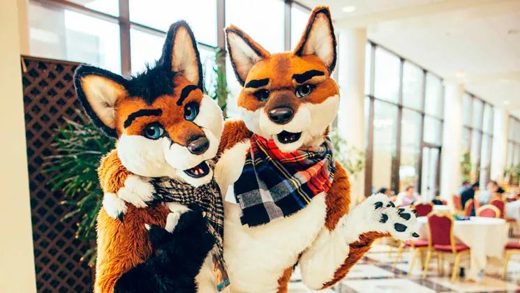 Furries, Meowing in School Now a ‘Radical Trend,’ According to Lawmaker