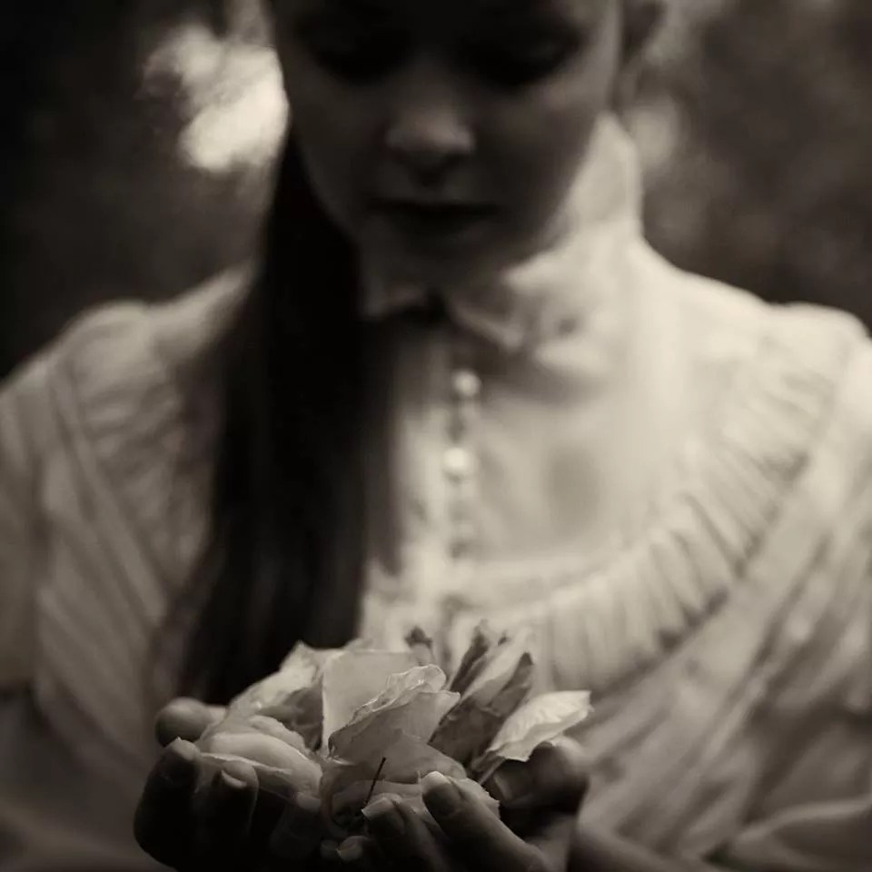 Danielle Georgiou Dance Group Explores Ritual, Hive Behavior and Rhythms in <i>War Flower</i>