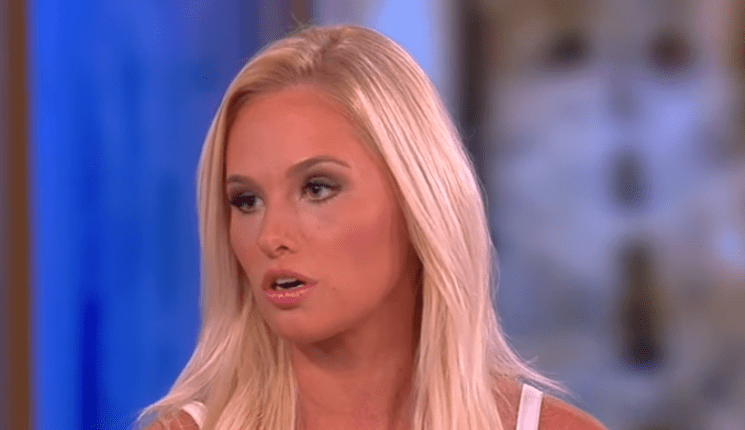 Tomi Lahren Rant Spotlights Protestor on Police Chief Interview Panel