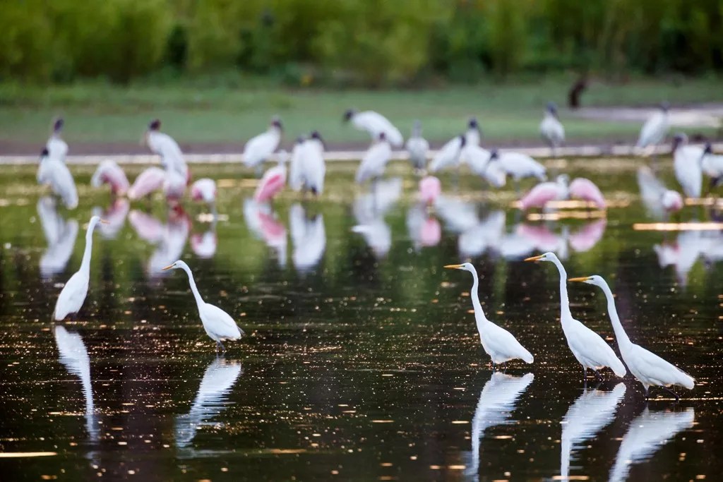 Privatize This, Privatize That, Kiss Control Over City’s Future Goodbye