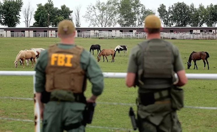 What Former <i>Observer</i> Editor Joe Tone Learned While Writing His First Book, <i>Bones</i>
