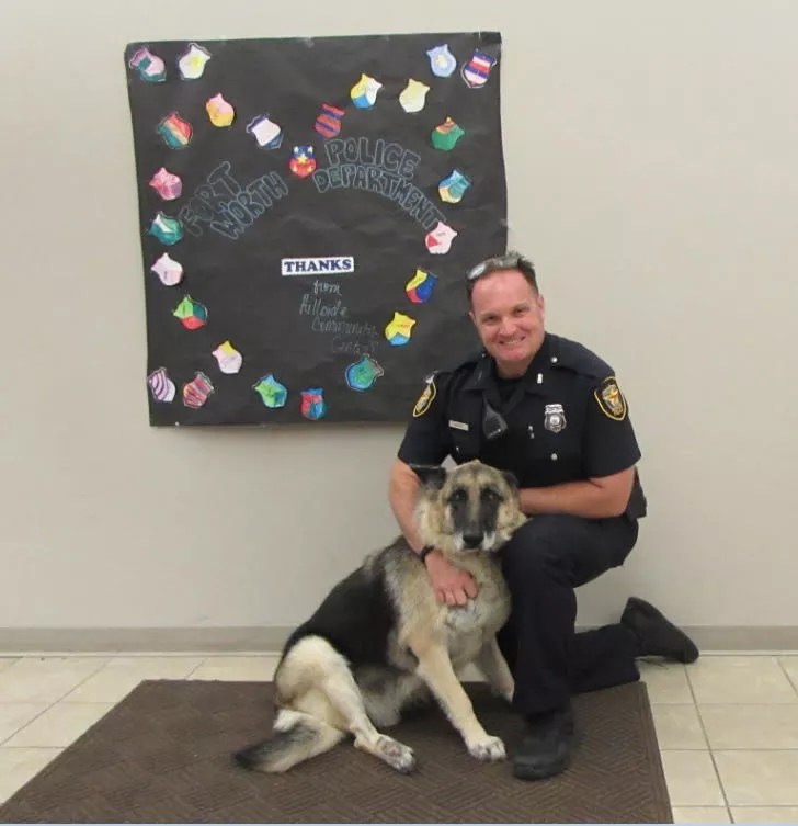 North Texas Search-and-Rescue Dog on Ballot To Be 2017 American Hero