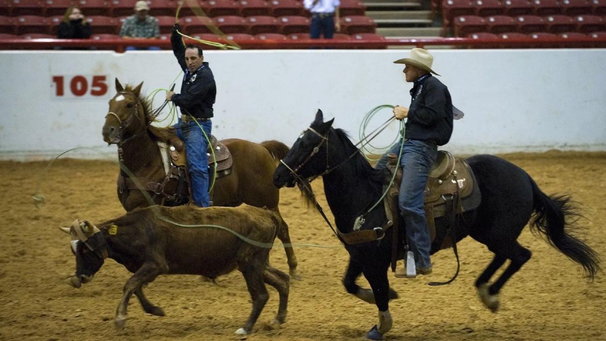 21 Things to Do in Dallas This Week