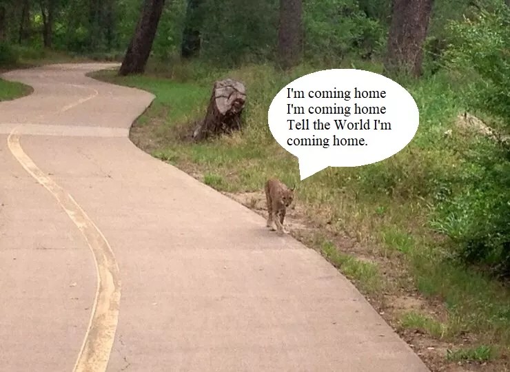 What if the World Survives After All? What if Dallas Leads the Way?