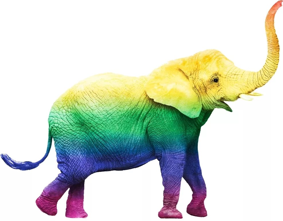 Texas GOP Platform Changes on LGBTQ People Stop Way Short