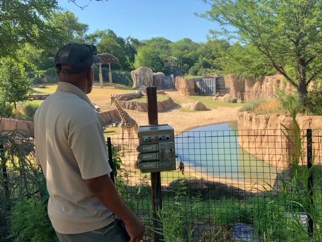A Behind-the-Scenes Look at Three Zookeepers From the Dallas Zoo