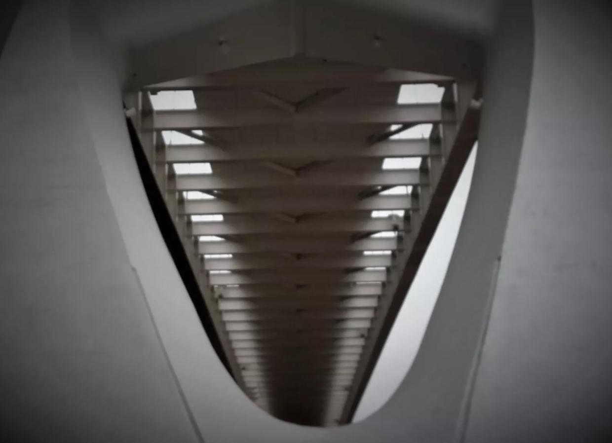 Honor Dead in Italy Bridge Collapse. Demand Bridge Answers Here.