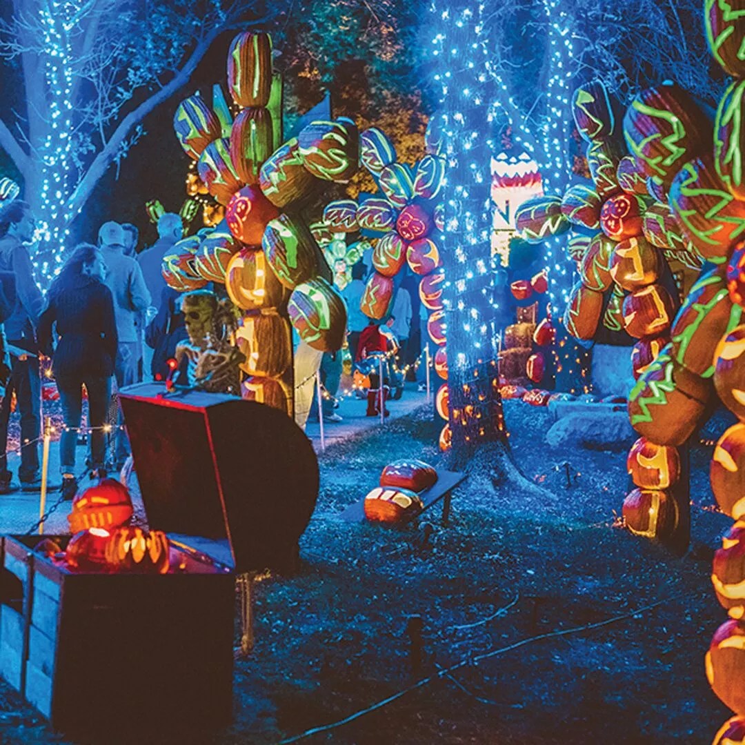 The Best Things to Do in Dallas, Oct. 8-13