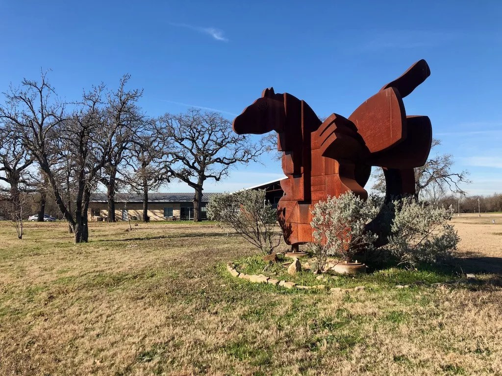 Texas Horse Park Operator Is Refusing to Pay Out Settlement to Injured Grandmother
