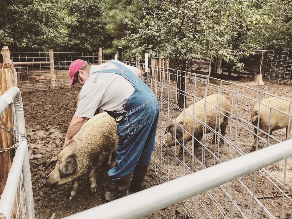 Chubby Dog Farm Changes Hands to Driftwood Meadows