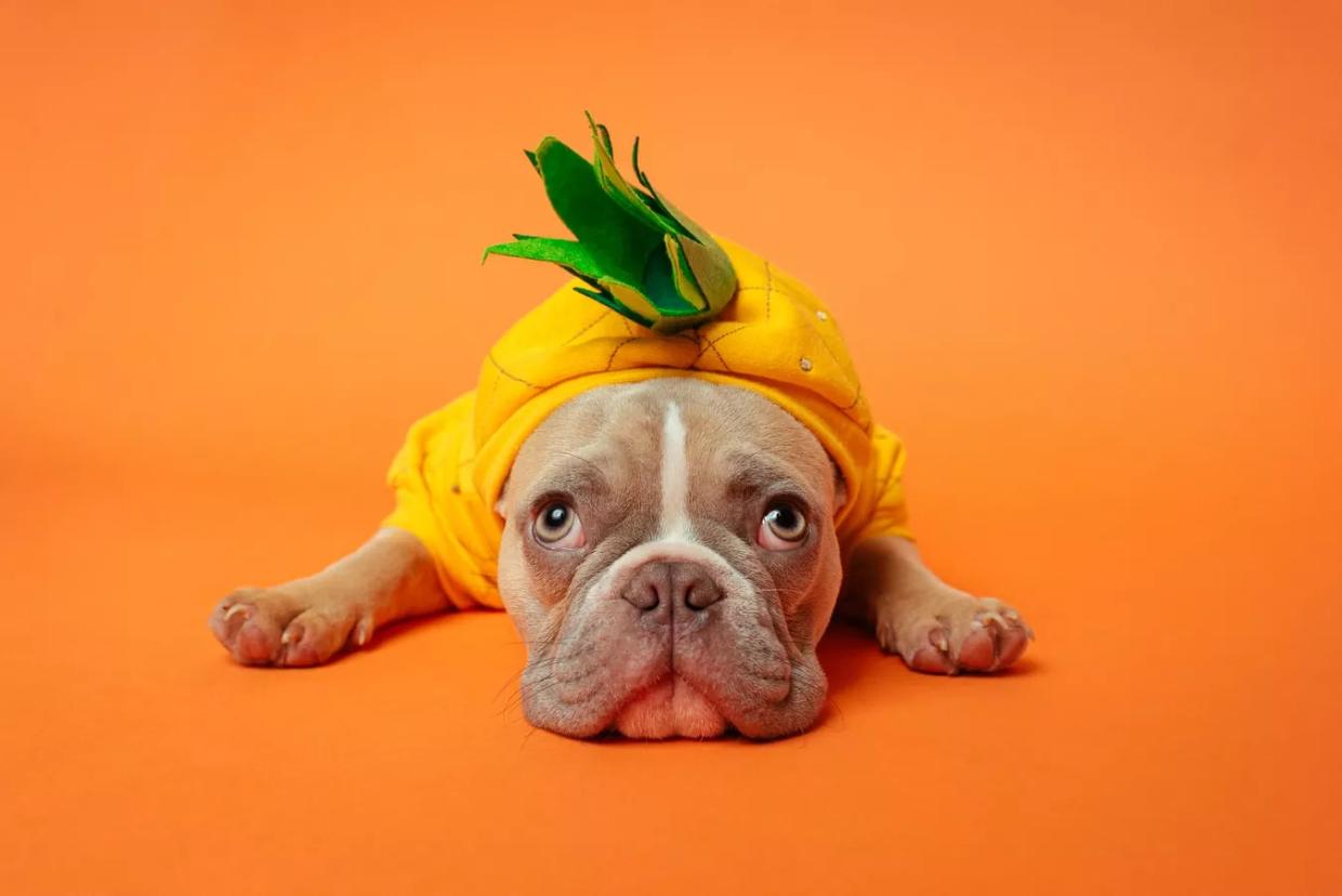 The Best Halloween Costumes Based on New Film and TV Characters