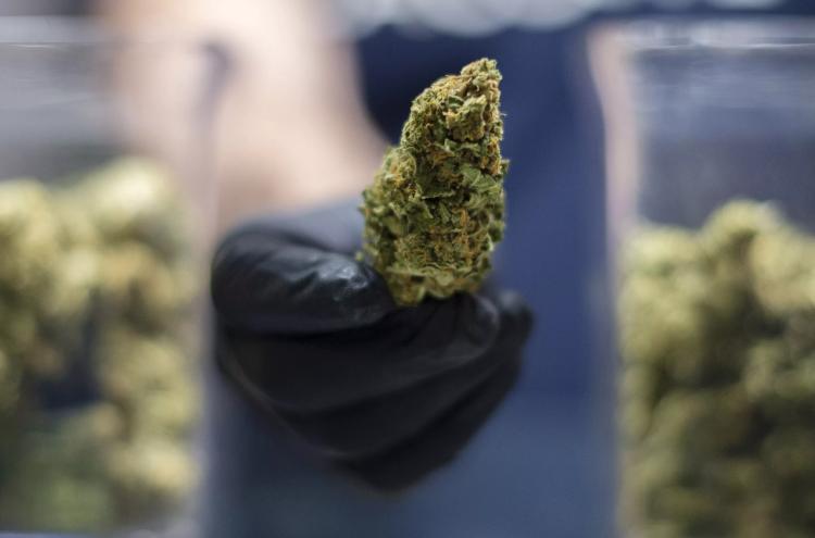 The relationship between Texas and marijuana continues to be a confusing one.