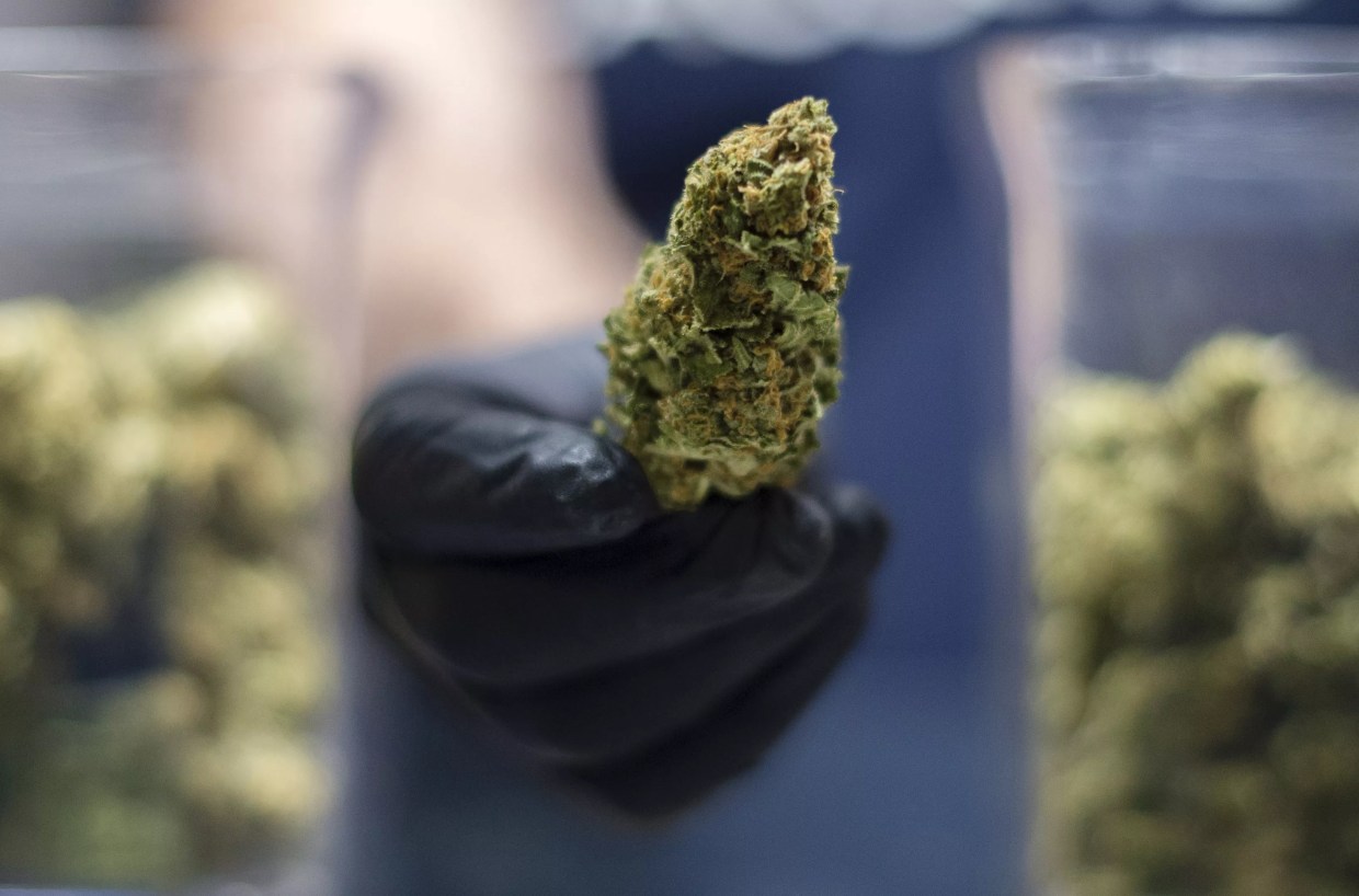 Believe It or Not, There’s a New Place in D/FW to Pick Up Medical Marijuana