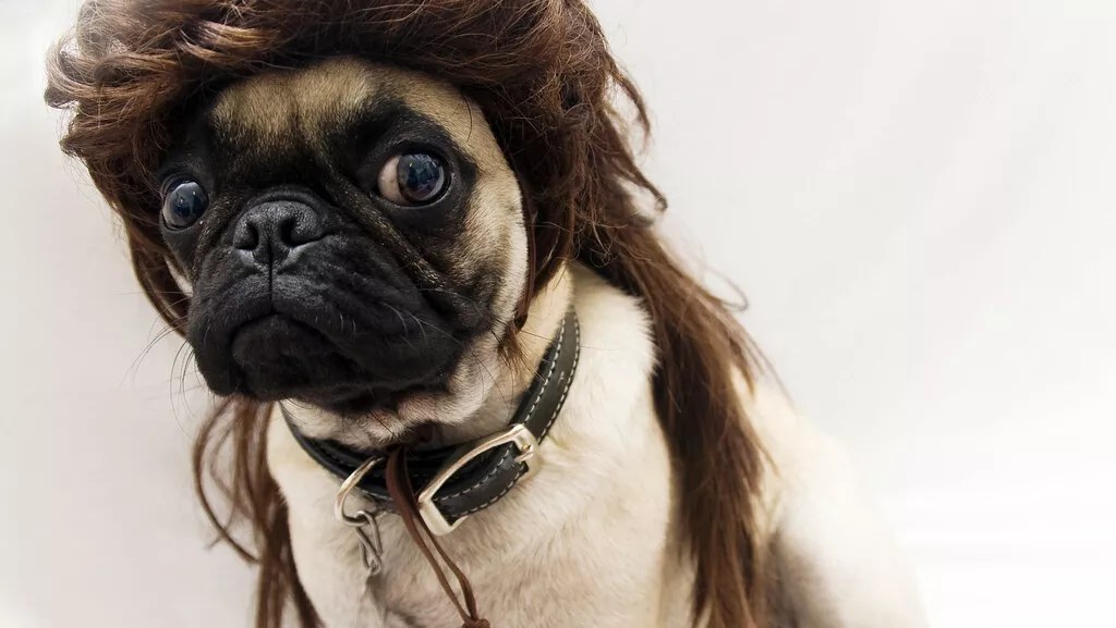 An 8-year-old North Texas Boy’s Killer Mullet Won First Prize in National Championship