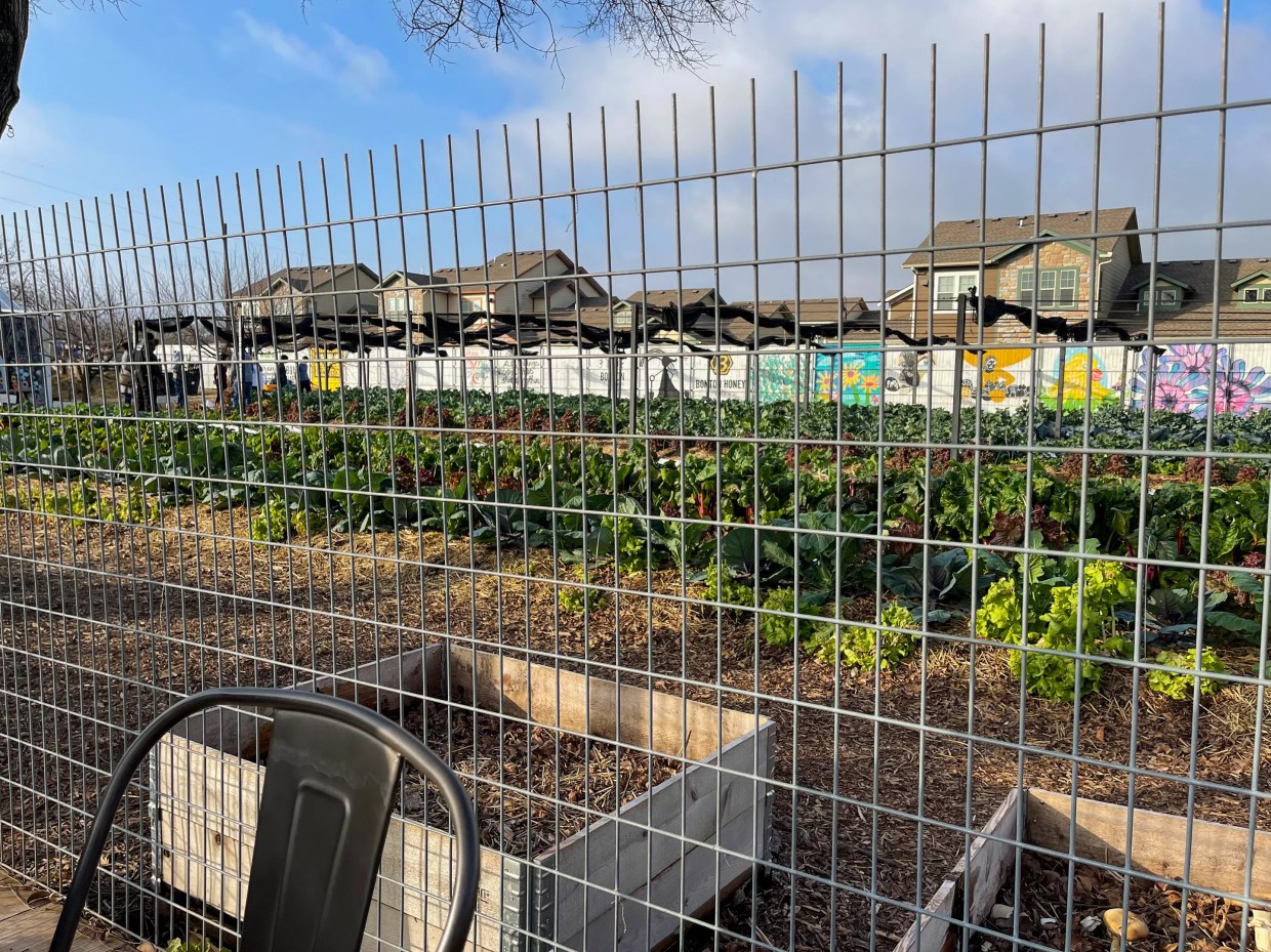 Bonton Offers Vibrant Setting for COVID-Era Dining