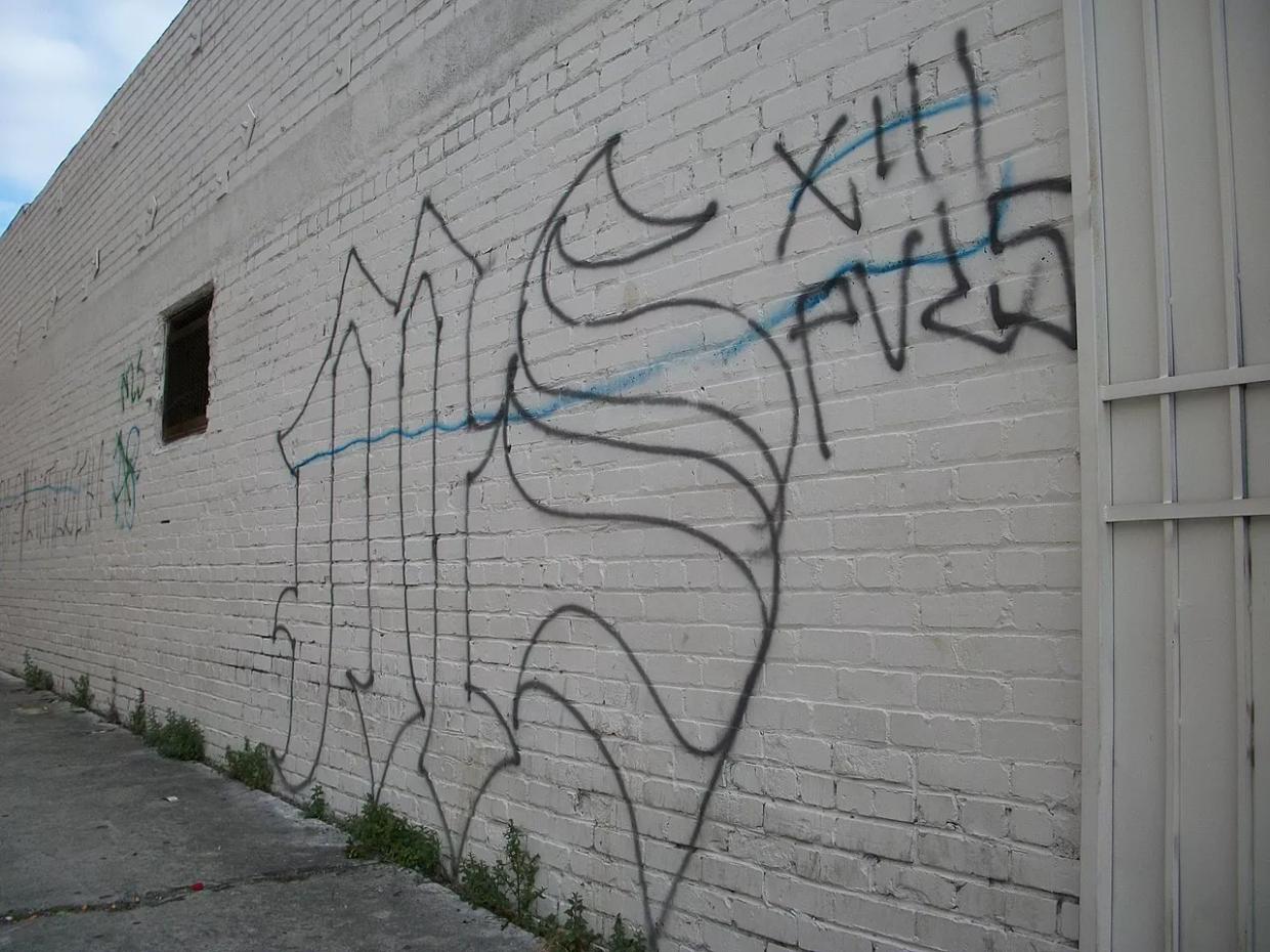 Seven Alleged MS-13 Members Charged Over Double Murder in U.S. Penitentiary in Texas