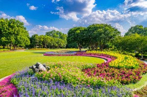 A flower-filled view of the grounds on the Dallas Arboretum.