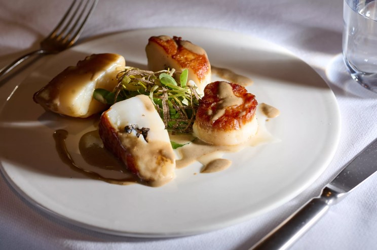 Scallops