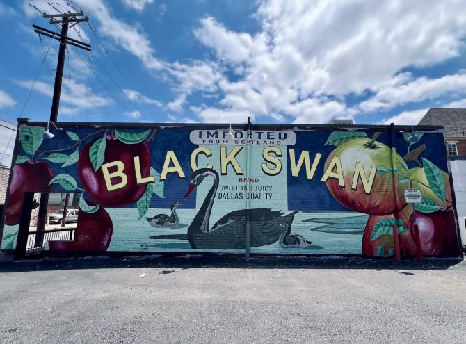 Black Swan Dallas