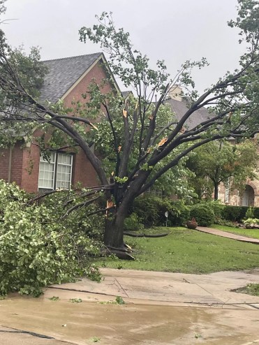 Tree damage to house