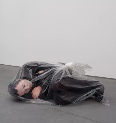 A 3D-printed sculpture in acrylic by Josh Kline